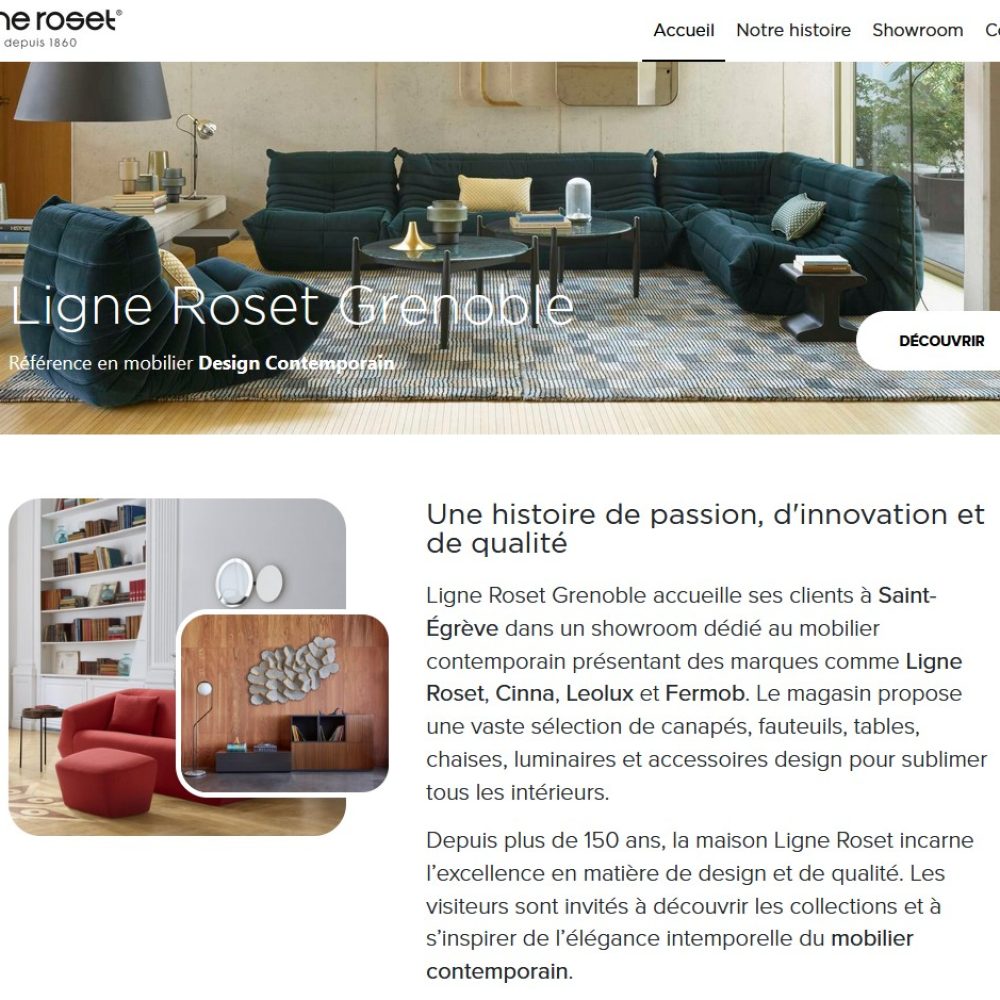 Ligne-roset-grenoble-1