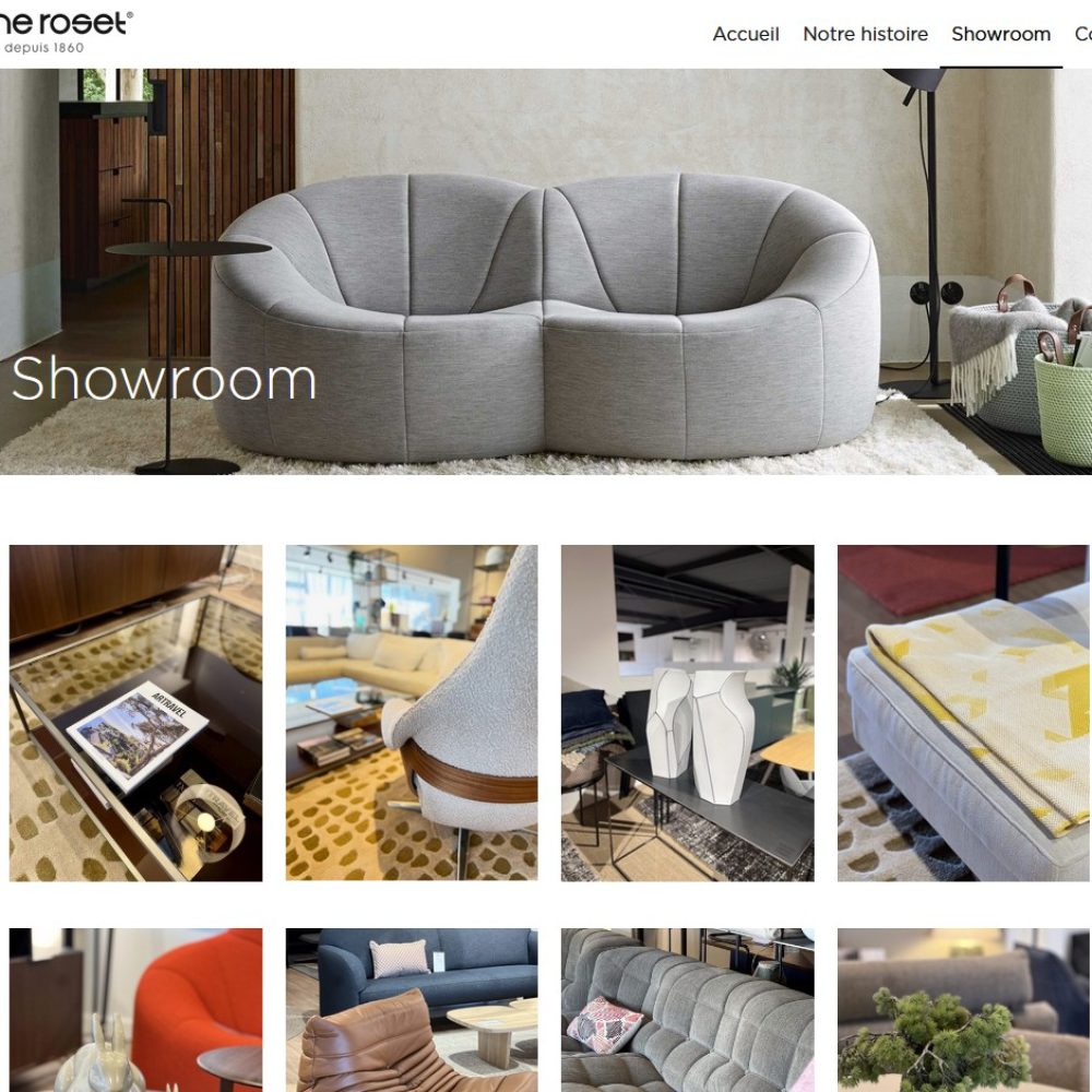 Ligne-roset-grenoble-2